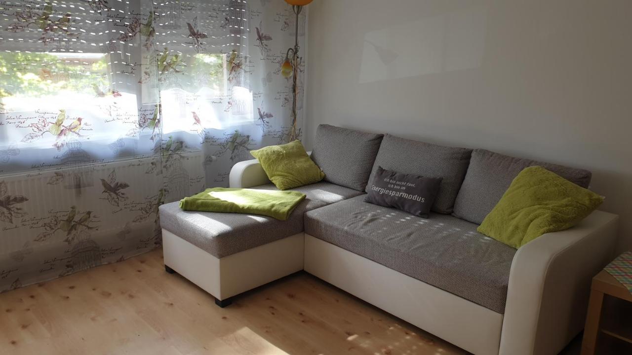 Wohnung Am Gruenen, Naehe Stadtzentrum Und Hauptbahnhof, Wlan Inklusive เฟือร์ท ภายนอก รูปภาพ
