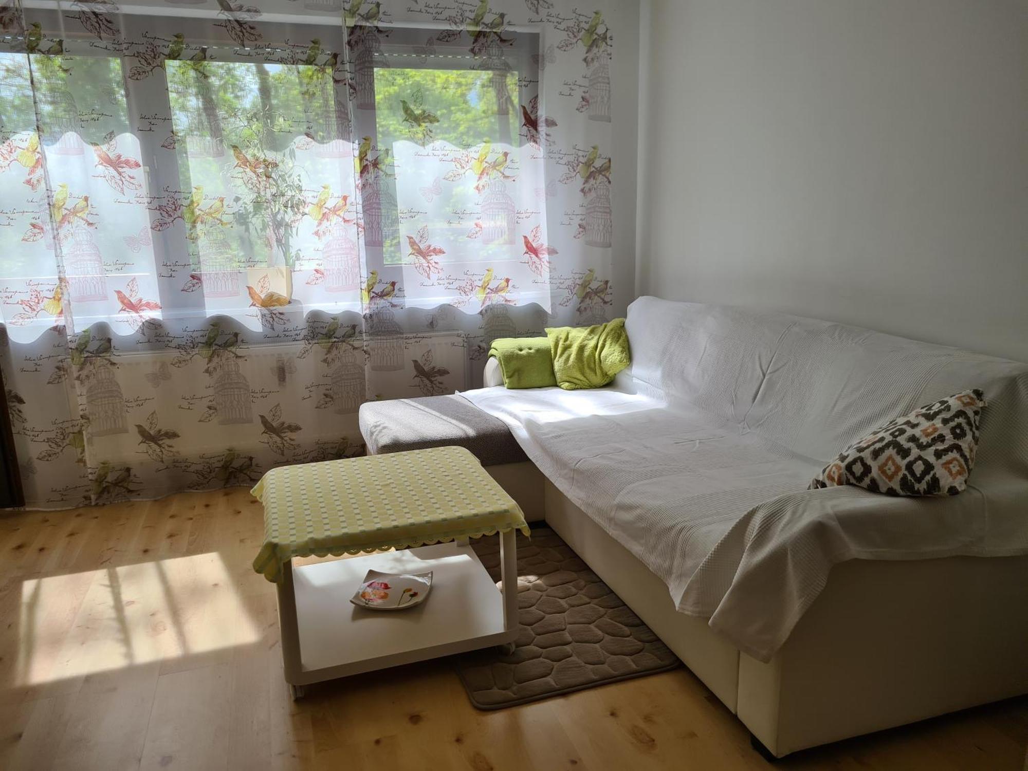 Wohnung Am Gruenen, Naehe Stadtzentrum Und Hauptbahnhof, Wlan Inklusive เฟือร์ท ห้อง รูปภาพ